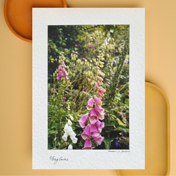 Wild Flower Stationary Card - Picture 9 of 16